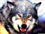 Badwolfie avatarja