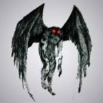 OwlHun avatarja