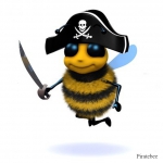 Piratebee avatarja