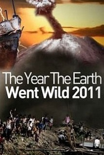 2011 legnagyobb katasztrófái
