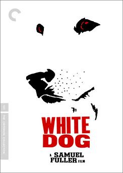 A fehér kutya online