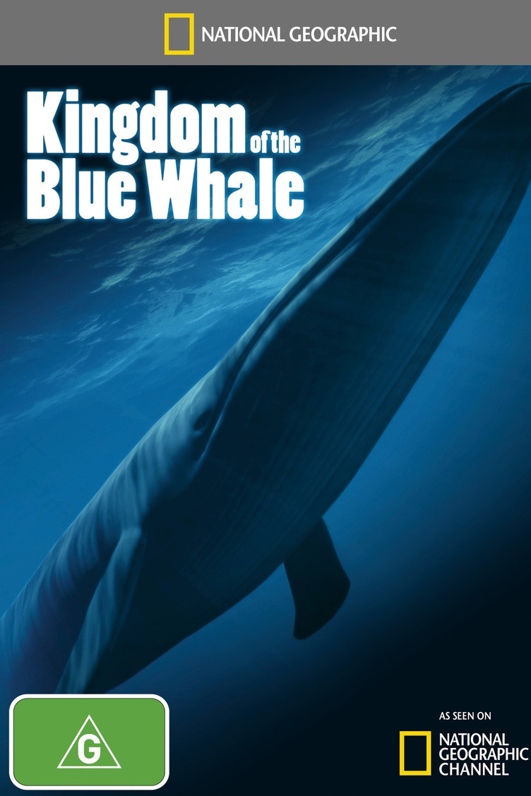 A kék bálna birodalma online
