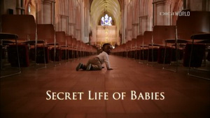 A kisbabák titkos élete online