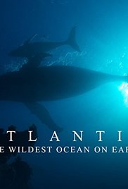 A könyörtelen Atlanti-óceán online