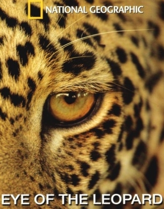 A leopárd szeme