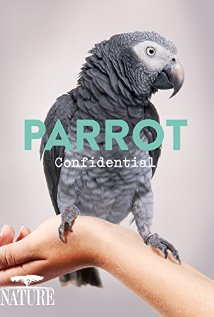 A papagájok titkai online