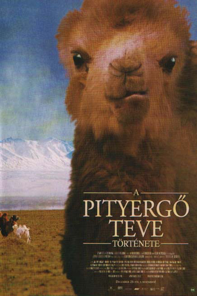 a-pityergo-teve-tortenete-2003