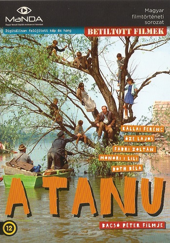 A tanú