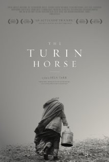 A torinói ló  online