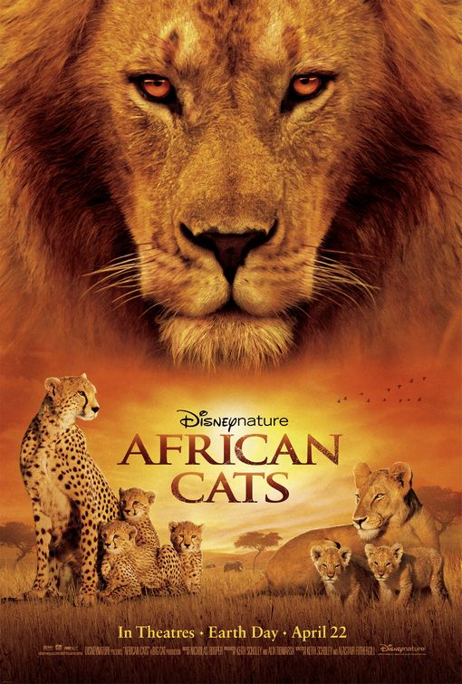Afrikai macskák - A bátorság birodalma
