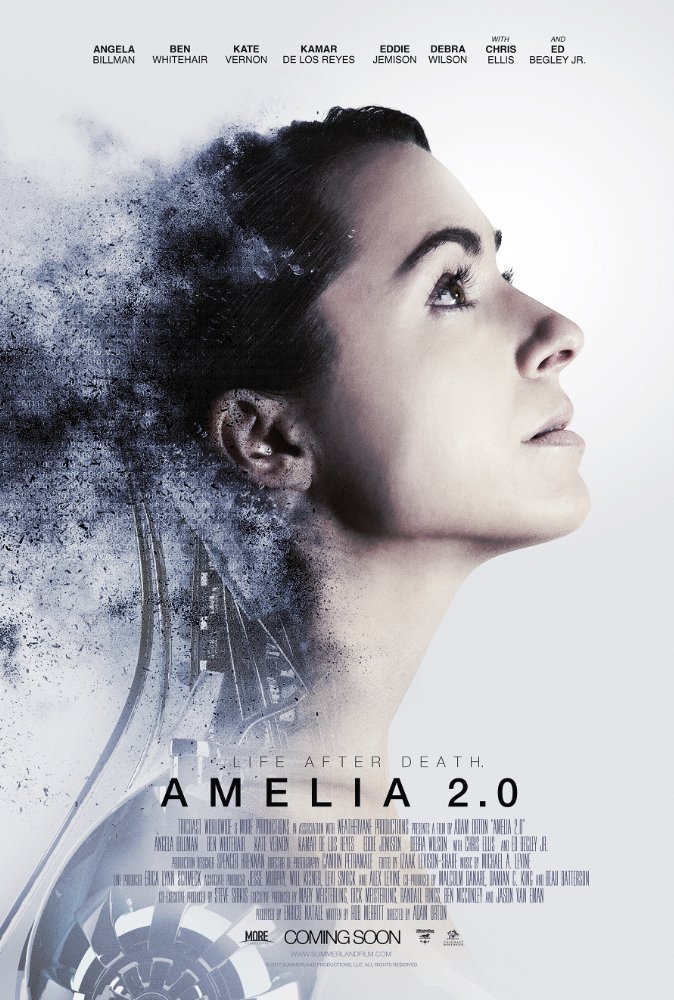 Amelia 2.0 online