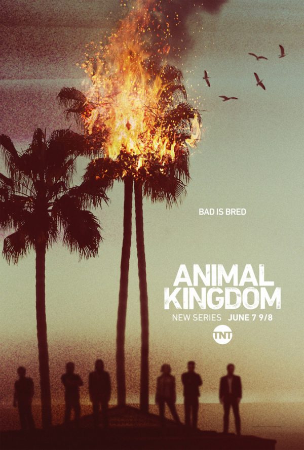 Animal Kingdom 1. évad online
