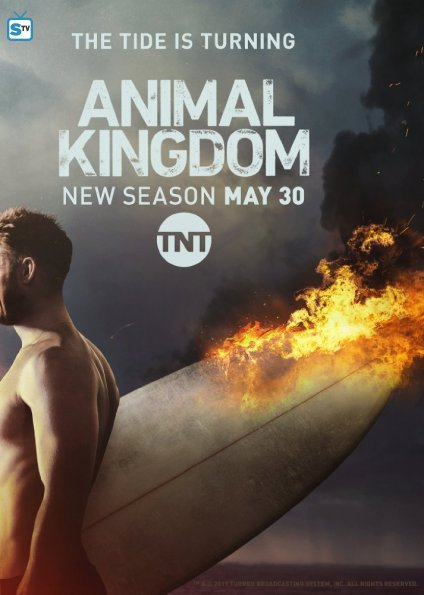 Animal Kingdom 2. évad online