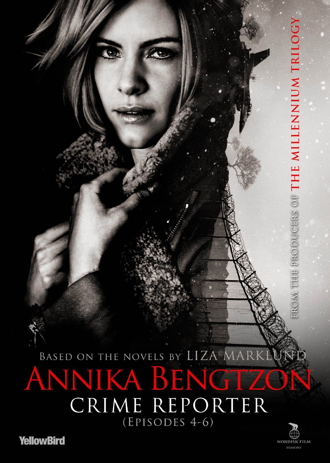 Annika Bengtzon 5. - A bűnügyi riporter