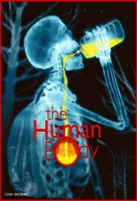 Az emberi test online
