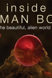 Az emberi test titkai
