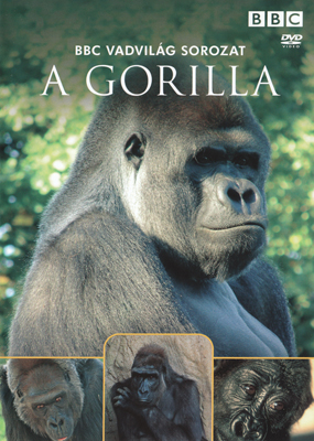 BBC: Vadvilág Sorozat - A Gorilla