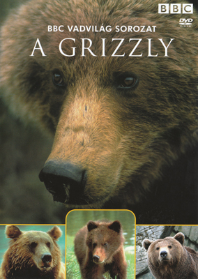 BBC: Vadvilág Sorozat - A Grizzly