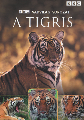 BBC: Vadvilág Sorozat - A Tigris