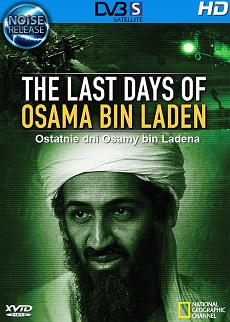 Bin Laden utolsó napjai