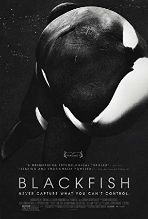 Blackfish - Egy kardszárnyú delfin története