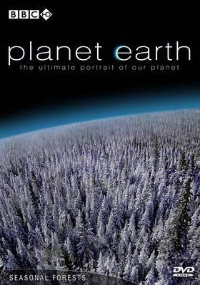 Bolygónk, a Föld 10. rész - Lombhullató erdők
