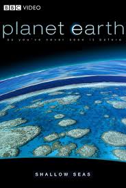 Bolygónk, a Föld 9. rész - Sekély tengerek