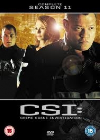 CSI: A helyszínelők 11. Évad