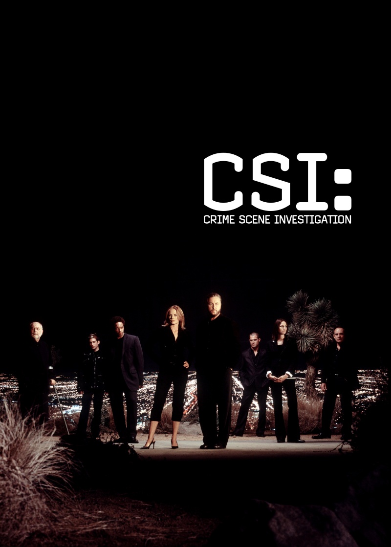 CSI: A helyszínelők 4. Évad