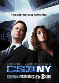 CSI: New York-i helyszínelők 6. Évad