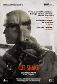 Cut Snake online