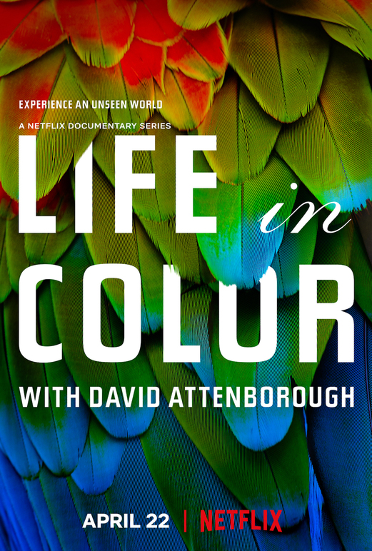 David Attenborough: Az élet színei online