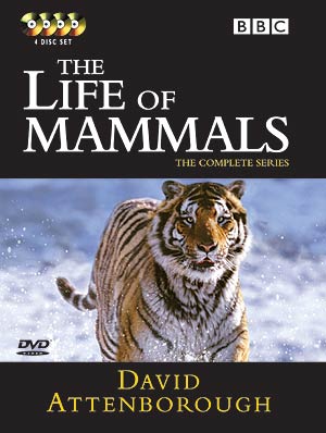 David Attenborough - Az emlősök élete
