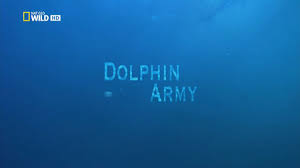 Delfin-hadsereg