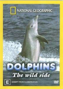 Delfinek ...nem mindig szelídek
