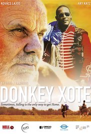 Donkey Xote