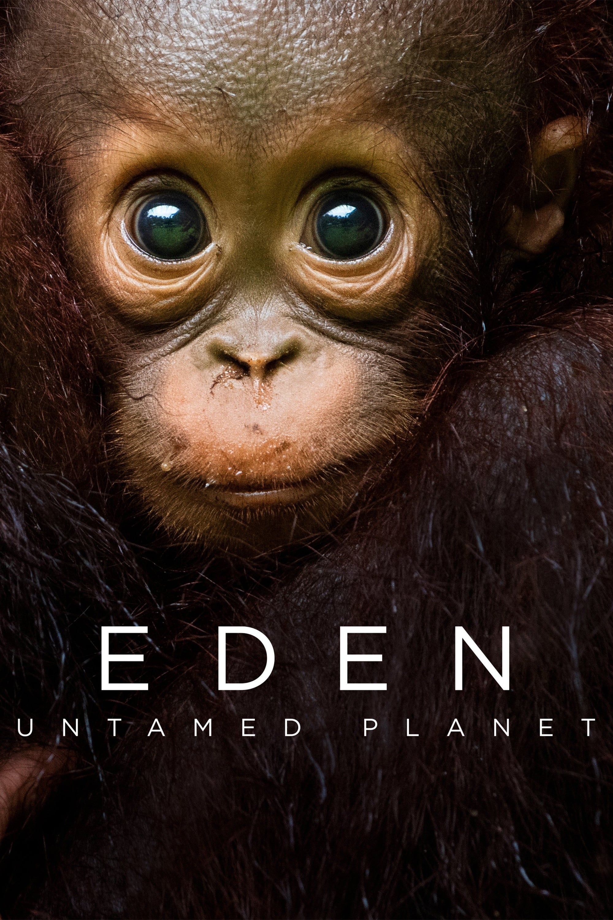 Eden: Untamed Planet online