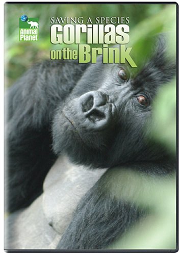 Egy faj megmentése - Gorillák a kihalás szélén
