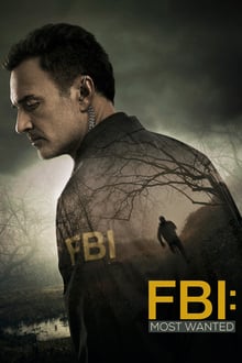 FBI: Most Wanted 1. évad online