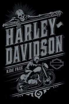 Harley és a Davidson fiúk 1. Évad