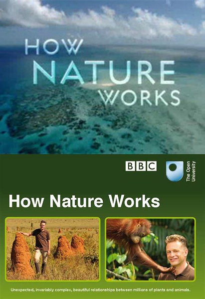Hogyan működik a természet