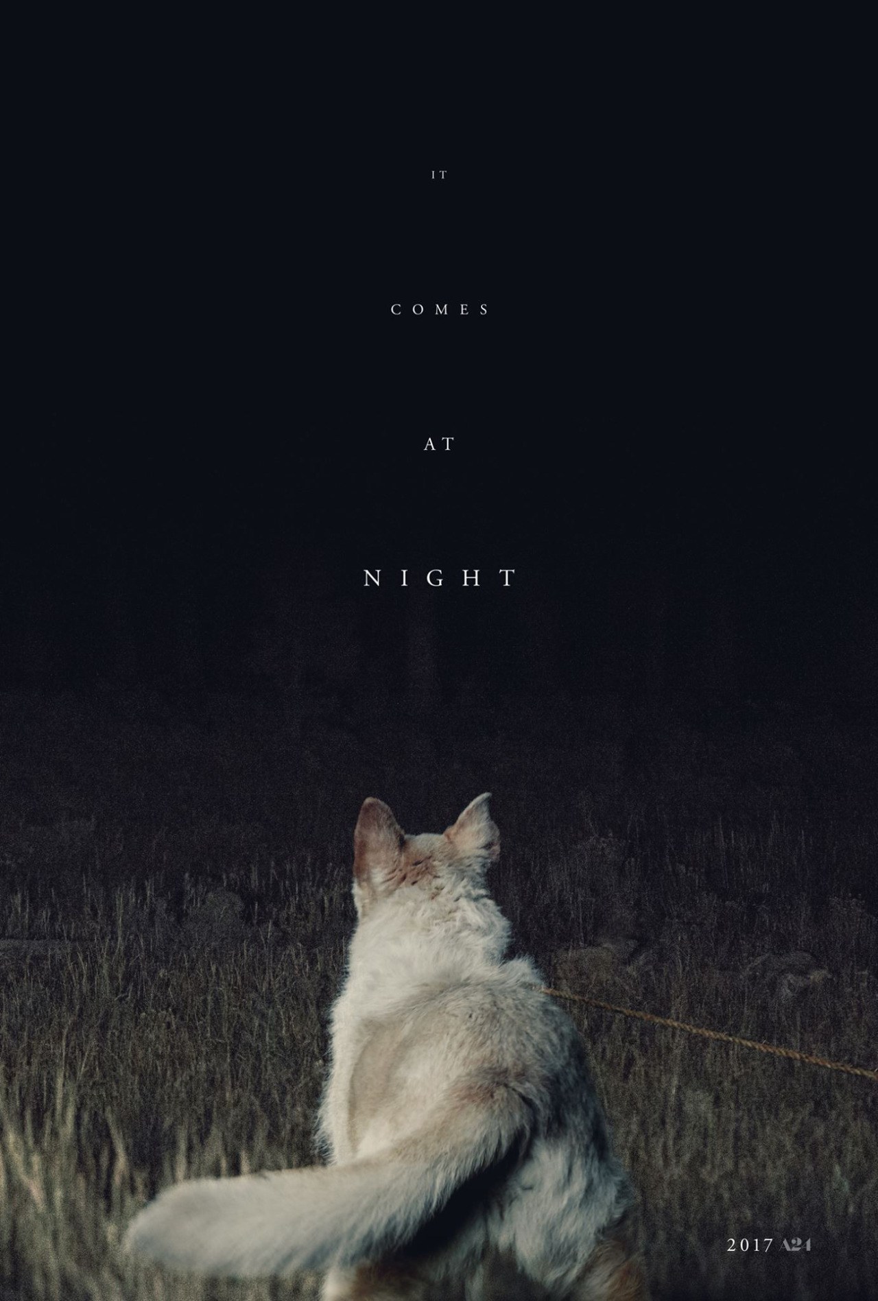It Comes at Night online