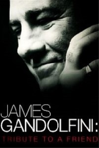 James Gandolfini: Tribute to a Friend online