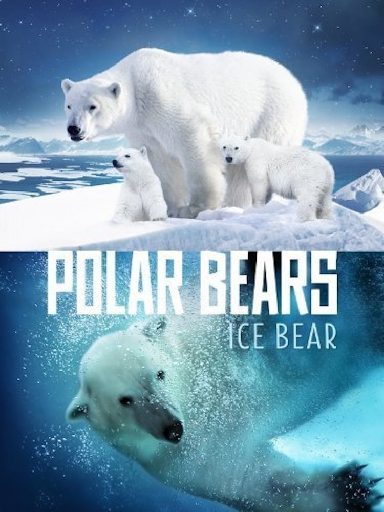 Jegesmedvék - Élet a jégmezőn online