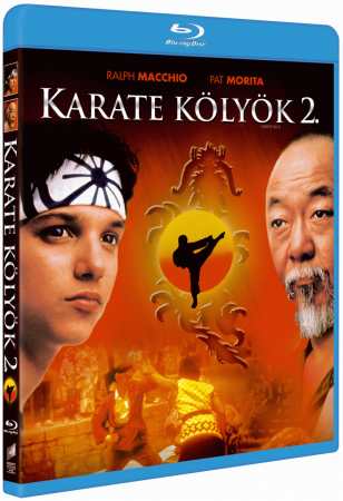 Karate kölyök 2 online