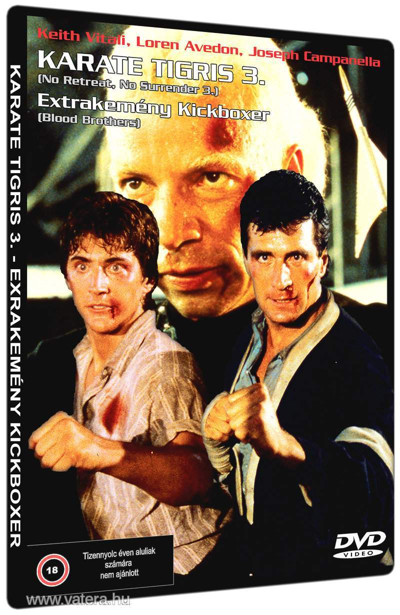 Karate tigris 3. - Extrakemény Kickboxer online