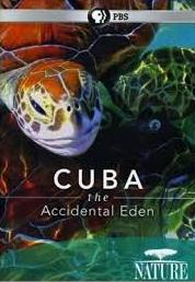 Kuba, az utolsó édenkert online