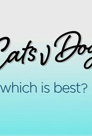 Kutya-macska párbaj: ki a jobb? online