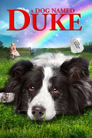 Kutyám, Duke
