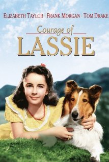 Lassie hazatér online